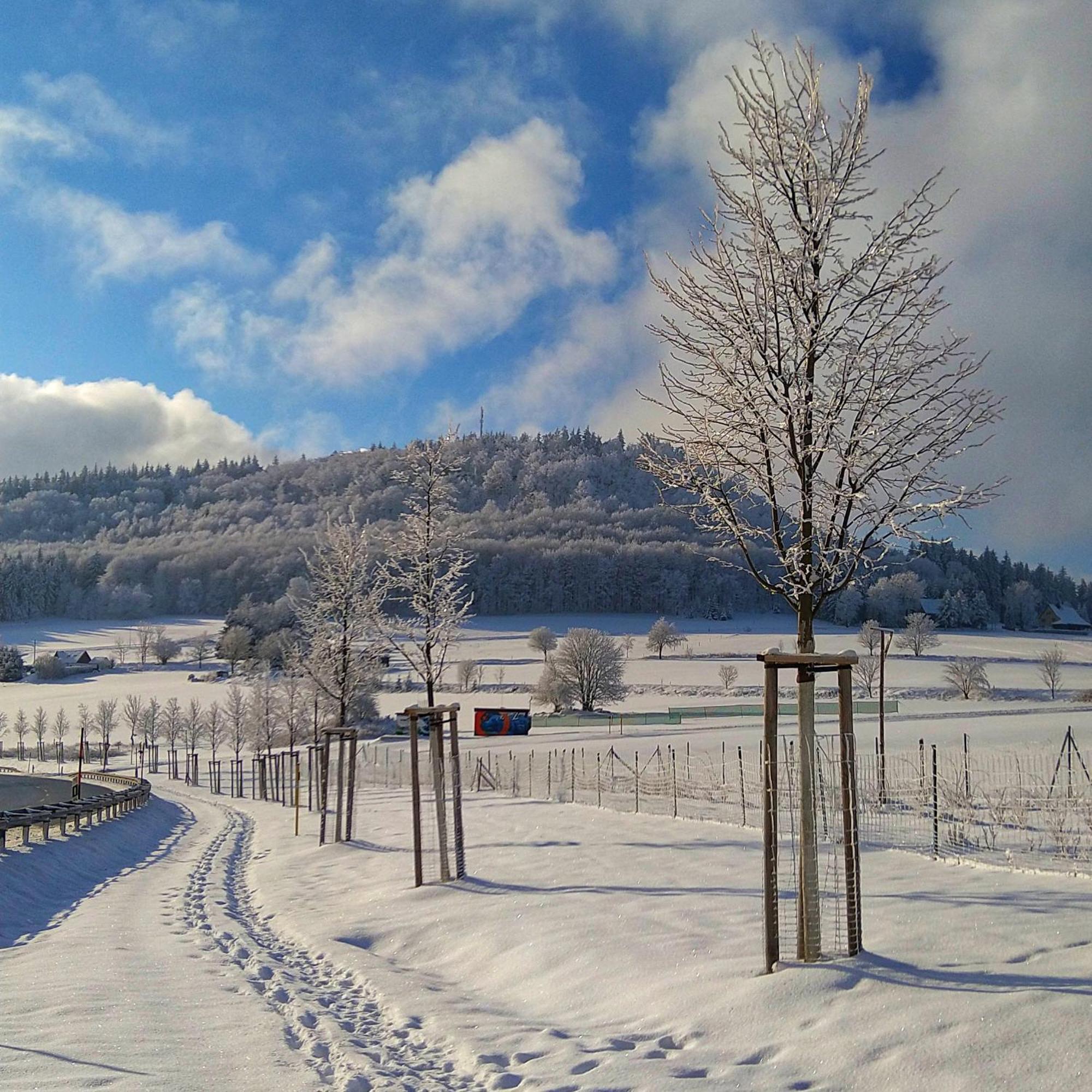 Kleine Fewo Peter In Baerenstein Buitenkant foto